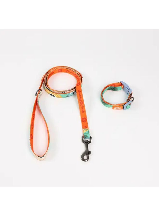 Green Dog Leash And Collar Set Adjustable Durable Metal Clasp For Walking Outdoor - Image 5