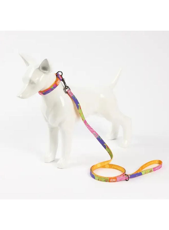 Green Dog Leash And Collar Set Adjustable Durable Metal Clasp For Walking Outdoor - Image 2