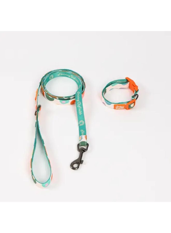 Green Dog Leash And Collar Set Adjustable Durable Metal Clasp For Walking Outdoor - Image 4