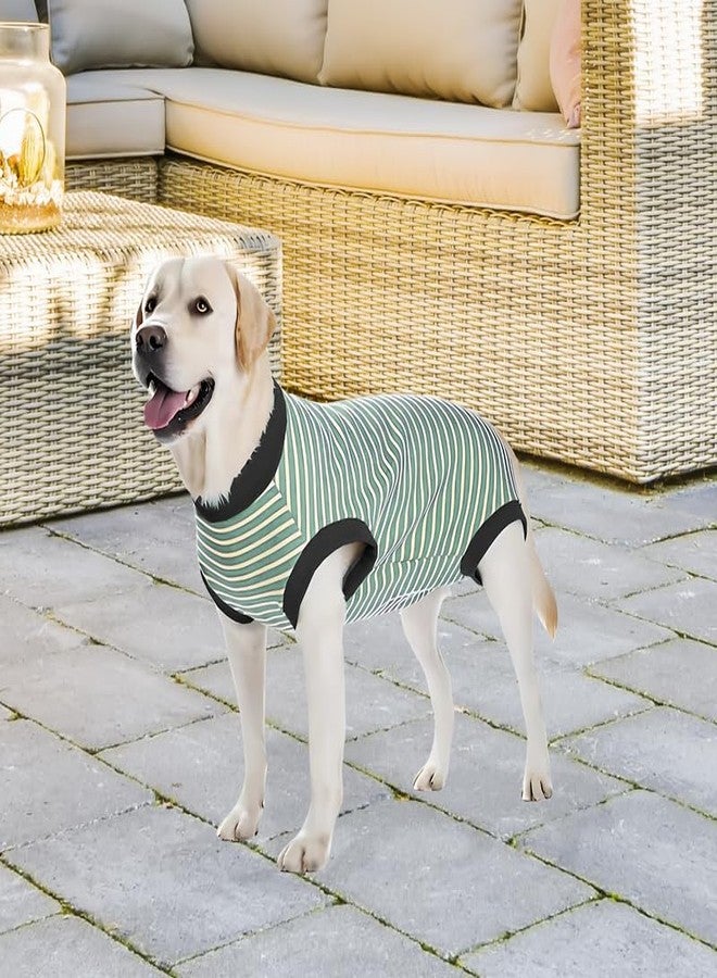 Pets Empire Warm Comfort Winter Dog Sweater (22-Inch), Green | Soft Stretchable Knit | Ideal for Medium & Large Adult Dogs - Image 2