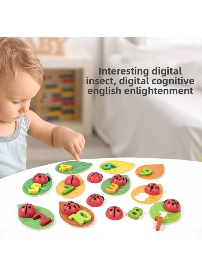 متعة ليتل الخنفساء الإدراك الرقمي للأطفال التنوير الإنجليزي التعليم المبكر وسائل تعليمية الإدراك اللون ألعاب خشبية مفتوحة - اللون: الإدراك الرقمي الخنفساء - Image 2