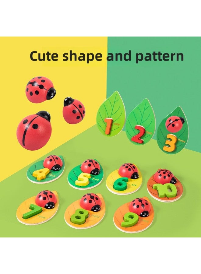 متعة ليتل الخنفساء الإدراك الرقمي للأطفال التنوير الإنجليزي التعليم المبكر وسائل تعليمية الإدراك اللون ألعاب خشبية مفتوحة - اللون: الإدراك الرقمي الخنفساء - Image 3