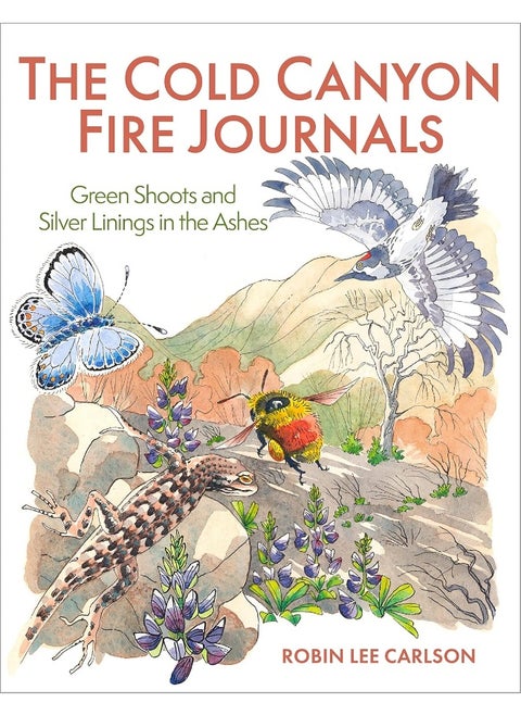 The Cold Canyon Fire Journals: Green Shoots and Silver Linings in the Ashes