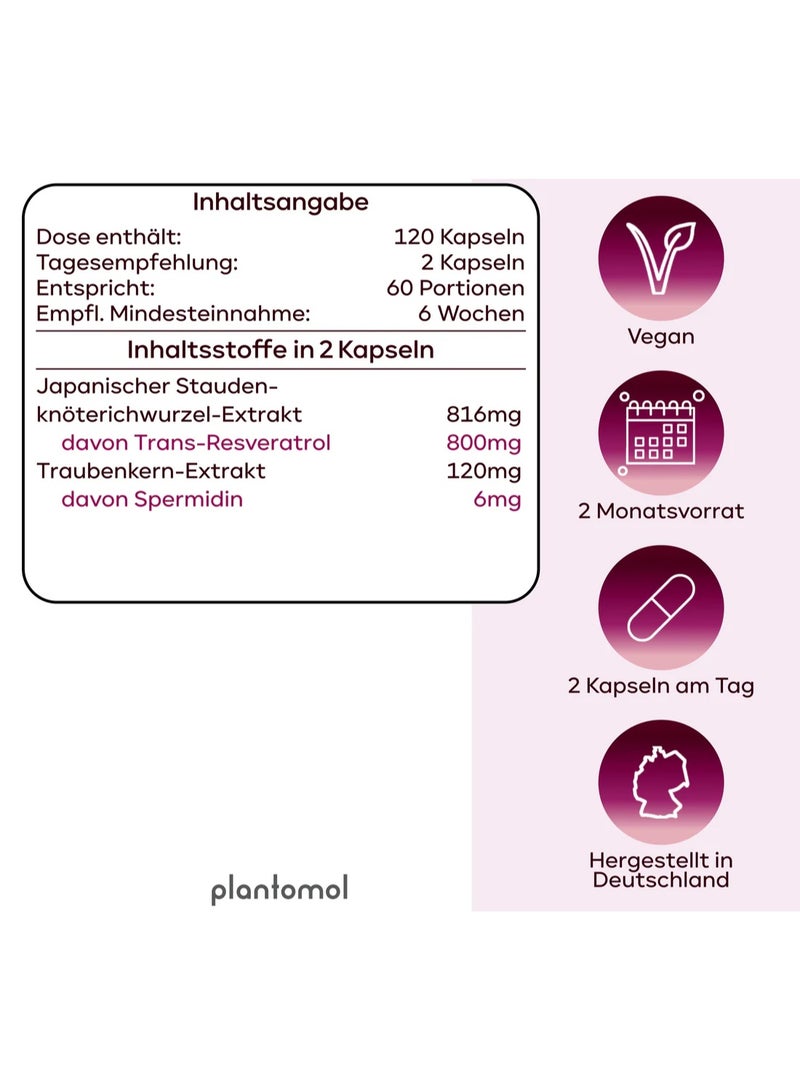 Plantomol Spermidine–Resveratrol 6 mg Spermidine with 800 mg Trans-Resveratrol daily, supports cell regeneration and slows aging, 120 capsules - Image 2