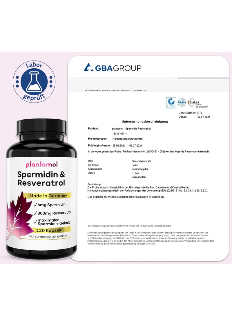 Plantomol Spermidine–Resveratrol 6 mg Spermidine with 800 mg Trans-Resveratrol daily, supports cell regeneration and slows aging, 120 capsules - Image 4