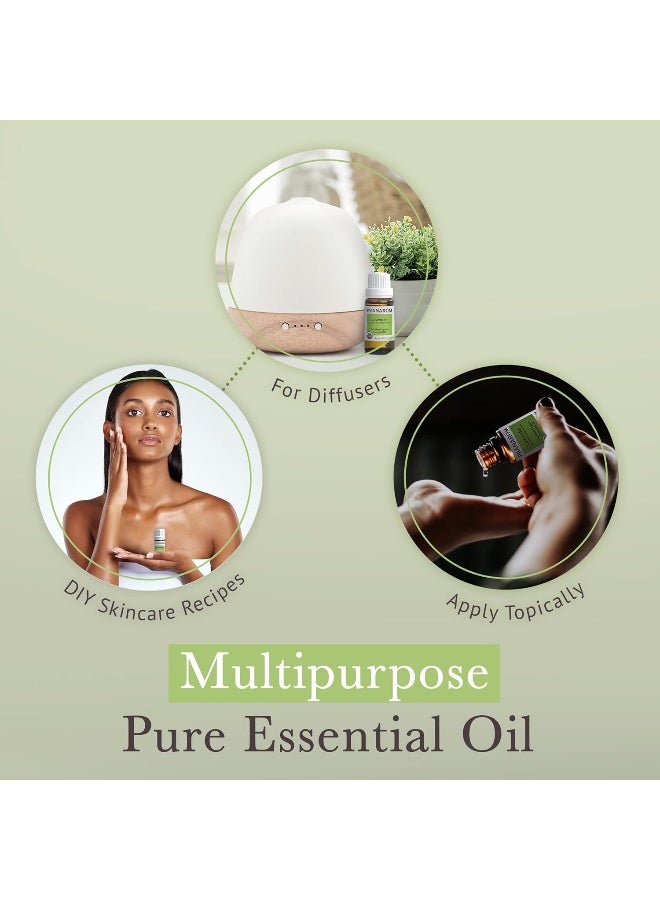 Pranarom - Lavender Essential Oil, Certified Organic, 15mL - Image 4