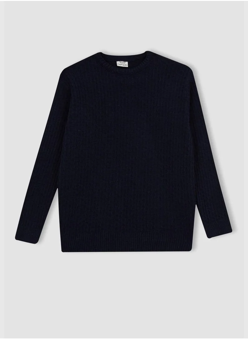 DeFacto Boy Crew Neck Long Sleeve Tricot Pullover