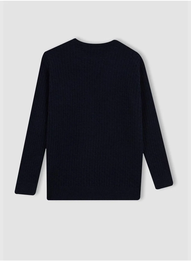 DeFacto Boy Crew Neck Long Sleeve Tricot Pullover