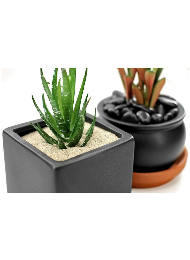 RACO Multi Purpose Natural Sand for Construction Flooring Aquarium Plants and DIY (5KG, WHITE) - Image 2