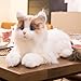 Chongker Interactive Robot Cat Plush Stuffed Animal Toys Bionic Motion Purr and Heartbeat Sound Lifelike Cat Companion for Children and The Elderly - Image 2