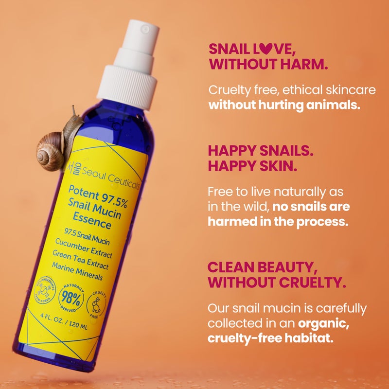 SeoulCeuticals Korean Face Mist 97.5% Snail Mucin Essence - K Beauty Skincare Facial Spray - Cucumber Extract + Marine Minerals + Green Tea + Aloe 4oz - Image 5