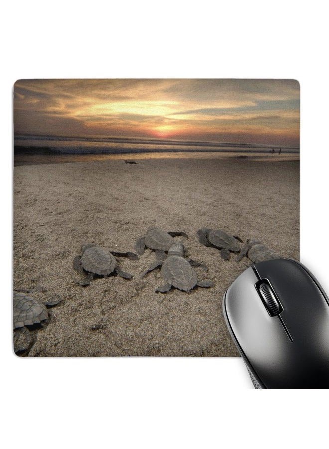 3DROSE LLC 8 x 8 x 0.25 Inches Mouse Pad, Mexico Boca Del Cielo Olive Ridley Sea Turtle Russell Gordon (mp_86772_1) - Image 1