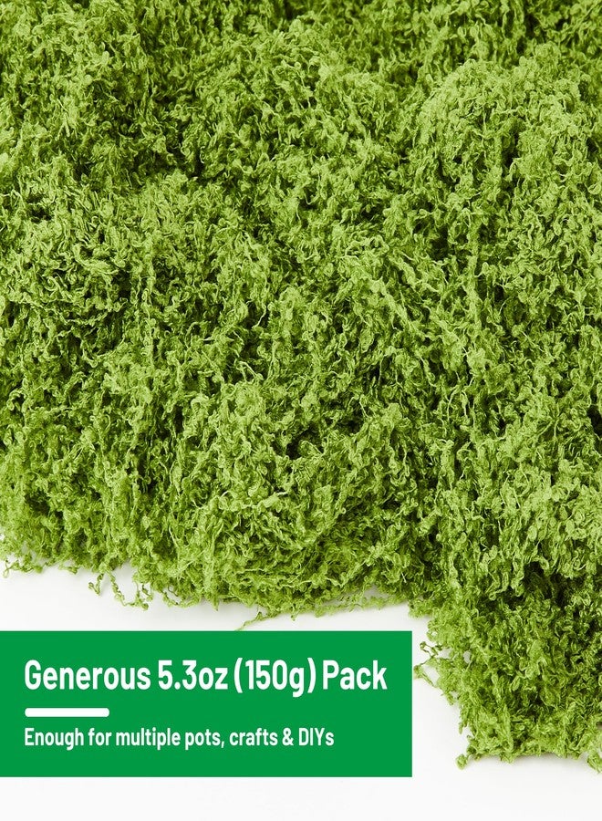 Amviner 5.3OZ Artificial Fake Green Moss for Crafts, Faux Moss for for Plants Indoor DIY Floral Arrangements, Terrariums, Home Decor, Fairy Gardens - Image 2
