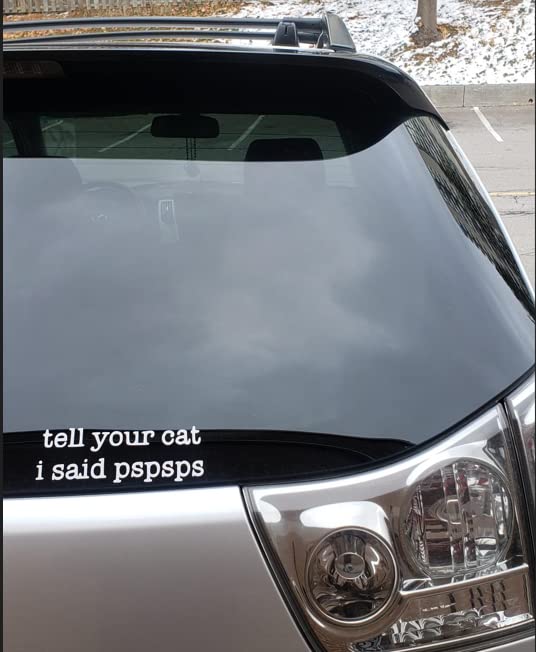 WALES Funny Tell Your Cat I Said Pspsps White Decal Sticker for Cars Trucks Vans SUV Window Wall Mirror Door Laptop Mac Cell Bottles 6 x 22 WALES 129