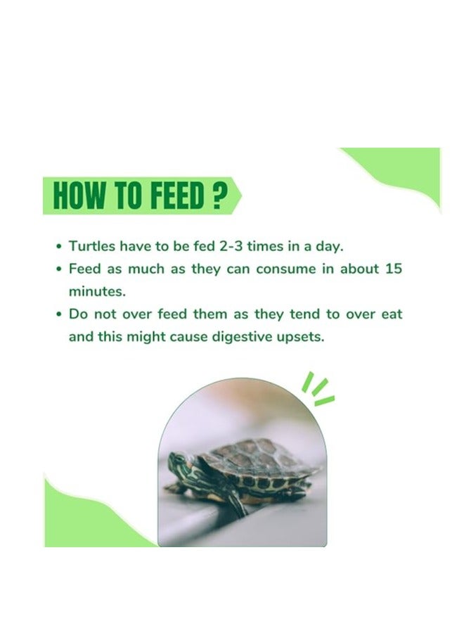 taiyo pluss discovery TAIYOPLUSS Discovery Taiyo Pluss Turtle Food, 500gm Container  - Image 4
