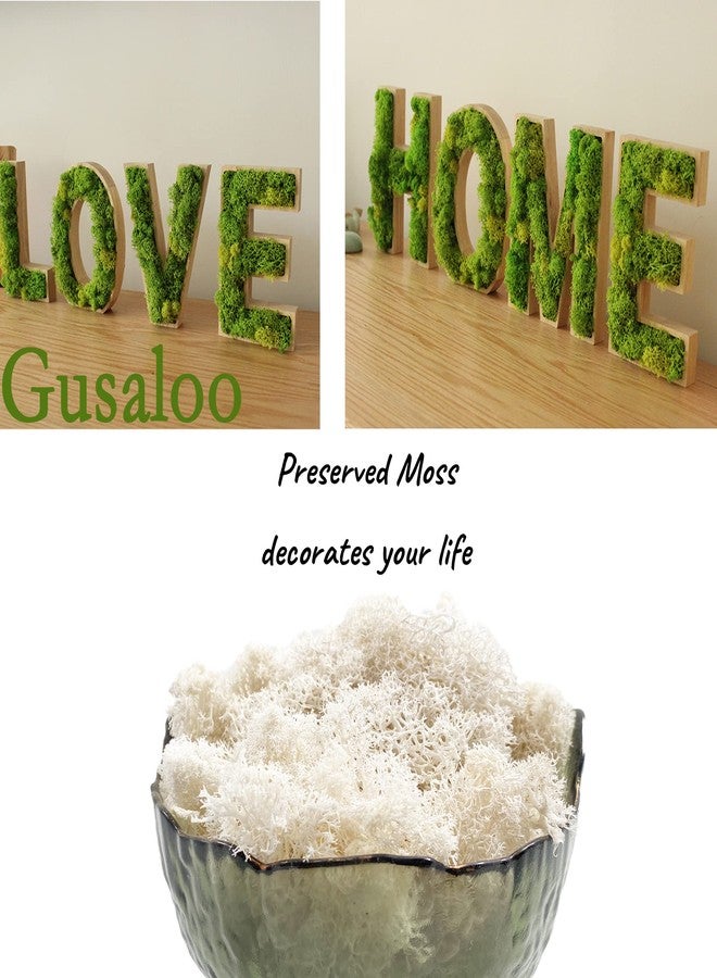 Gusaloo Moss Preserved Natural Fresh Green Moss for Craft Arts Floral Projects, Wall Decor, Table Decor, Wedding Centerpieces, Garden, Terrariums - White, 3.5OZ - Image 3