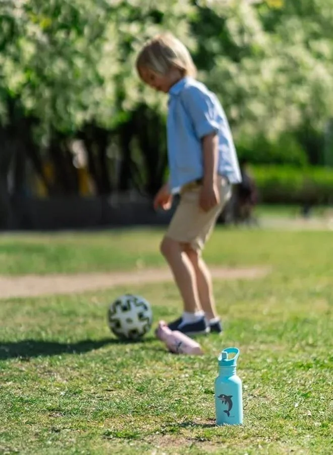 نالجين فلاس ستيلش للأطفال سعة 0.5 لتر