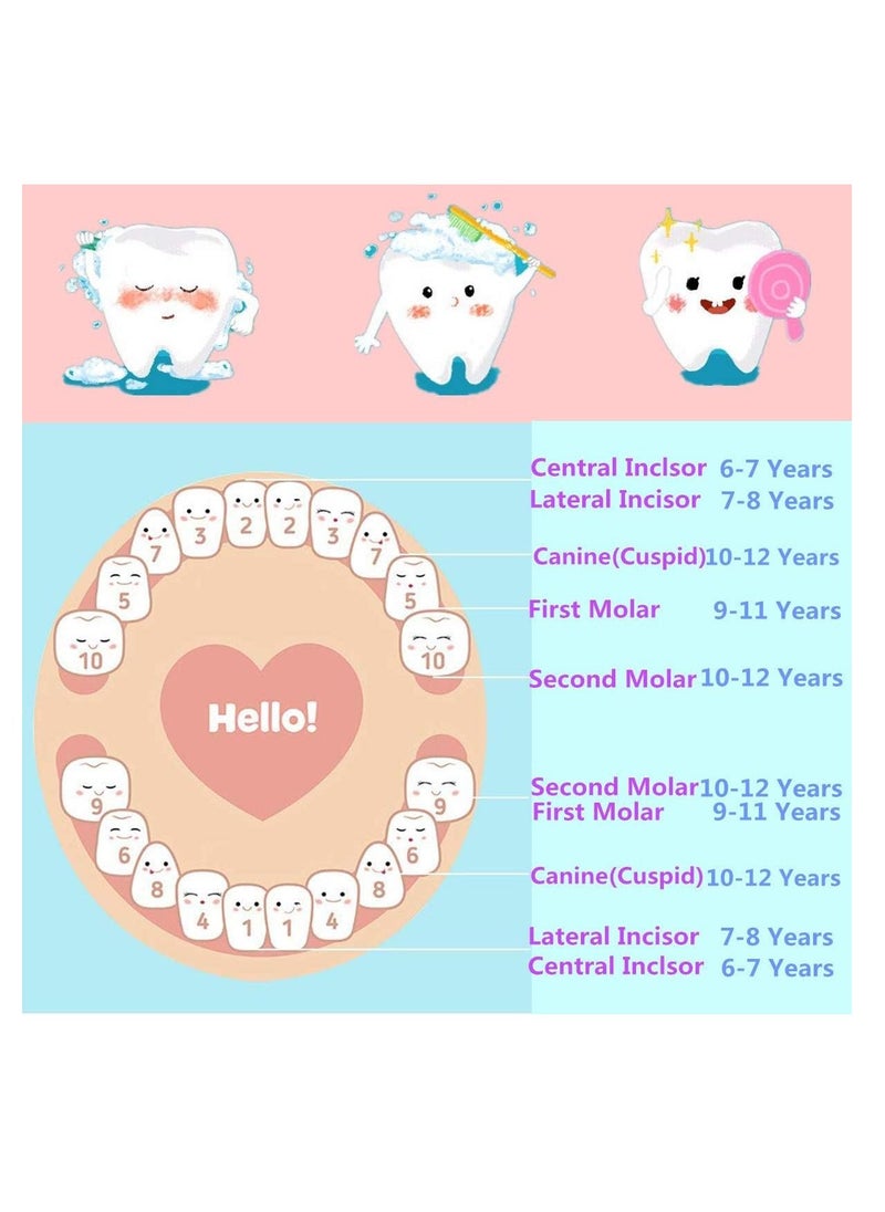 MissTiara - Tooth Fairy Box for Girls, Tooth Boxes for Lost Teeth for Kids, Newborn Baby Birthday And Shower Gift - Image 1