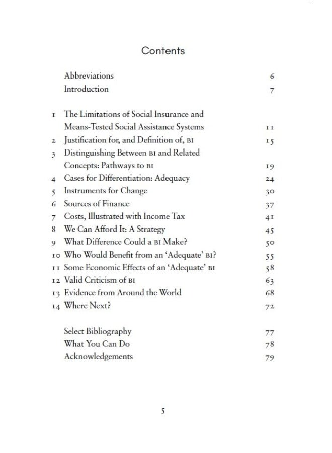 Basic Income: A Short Guide  - Image 3