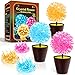 GobiDex Crystal Growing Kit Science Kits for Kids Age 812 Grow Fast in 24H Science Experiments Lab Toys DIY STEM Projects Learning Educational Toys Crafts Gift Boys Girls Ages 6 7 8 9 10 12 - Image 2