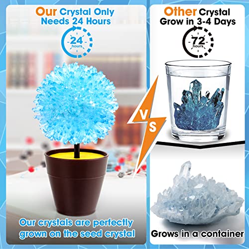 GobiDex Crystal Growing Kit Science Kits for Kids Age 812 Grow Fast in 24H Science Experiments Lab Toys DIY STEM Projects Learning Educational Toys Crafts Gift Boys Girls Ages 6 7 8 9 10 12 - Image 5