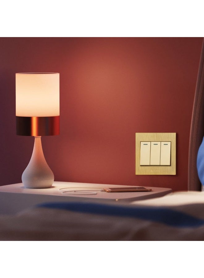 TOEFL Triple key, golden color, quiet TOEFL - Image 2