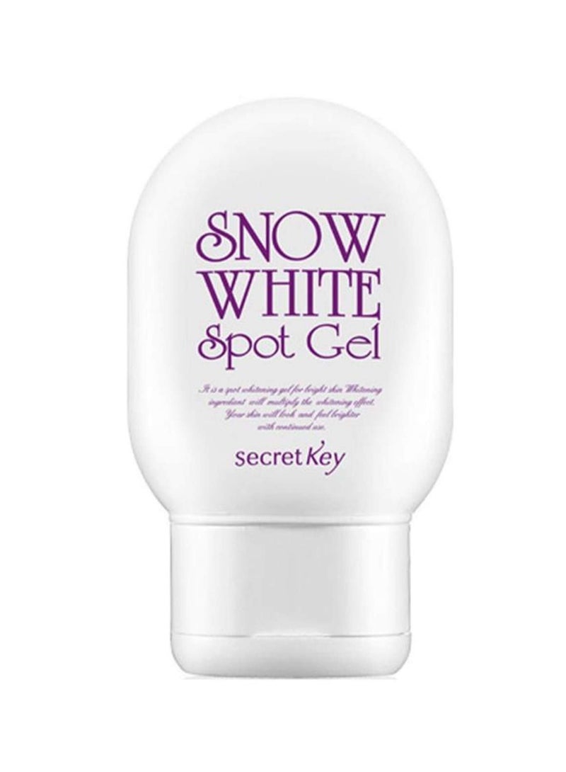 Secret Key Snow White Spot Gel 65G