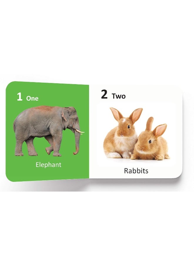 My First Library : Set of 10 Board Books (Box Set)  - Image 4