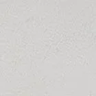 كيت سبيد Signature Sneakers