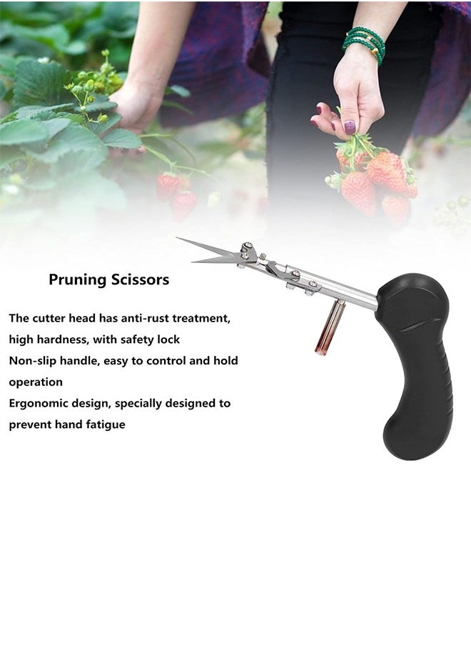Generic - Fruit And Herb Cutting Scissors Non Slip And Comfortable For The Hand - Image 1