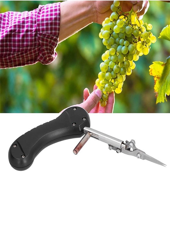 Generic - Fruit And Herb Cutting Scissors Non Slip And Comfortable For The Hand - Image 1