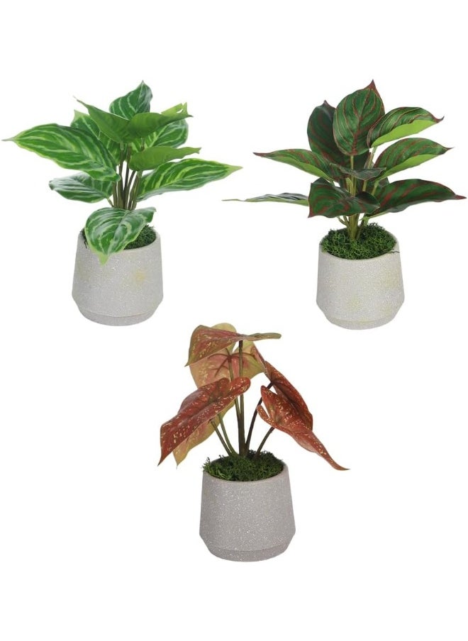 Yatai - YATAI Pack of 3 Artificial Fake Leaf Small Plant Fake Plant in Plastic Pot for Home Office Garden Decoration – Office Plants – Indoor Plants – Garden Plants (Style 1) - Image 1