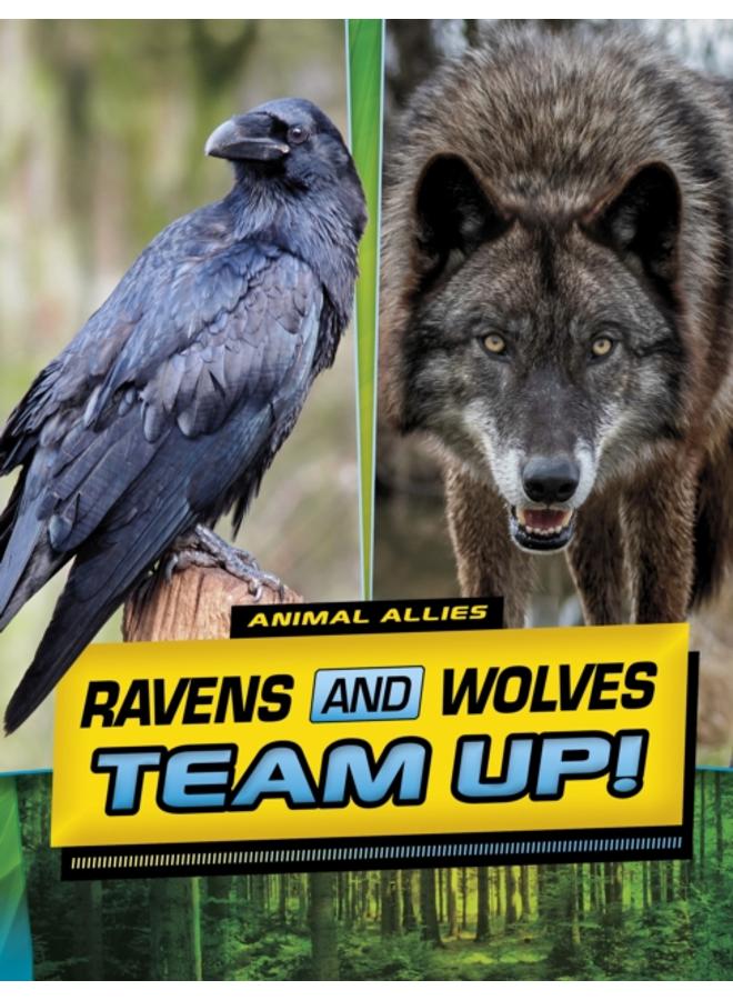Ravens and Wolves Team Up! 
