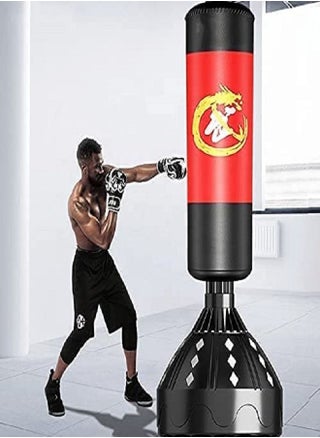 Professional Boxing Punching Stand-170cm - pzsku/ZB95A5FB97CCC011C2201Z/45/_/1651841976/71434df3-abab-4684-9516-bd52c3a34377