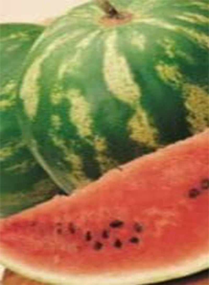 GGOOT 20 Seeds of Watermelon Crimson Sweet Grow Your Own Fruit, Simply Garden
