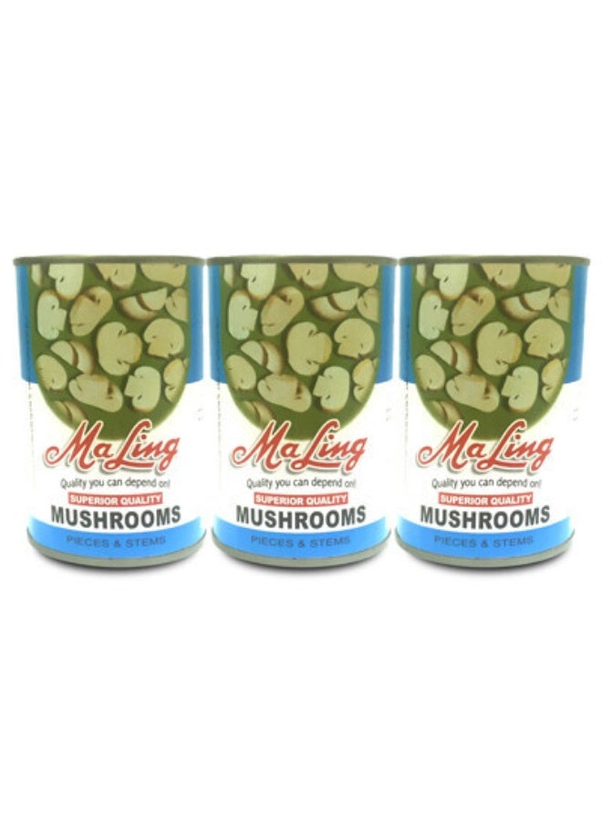 Mushrooms Pieces & Stems Easy Open Can, 3x425g