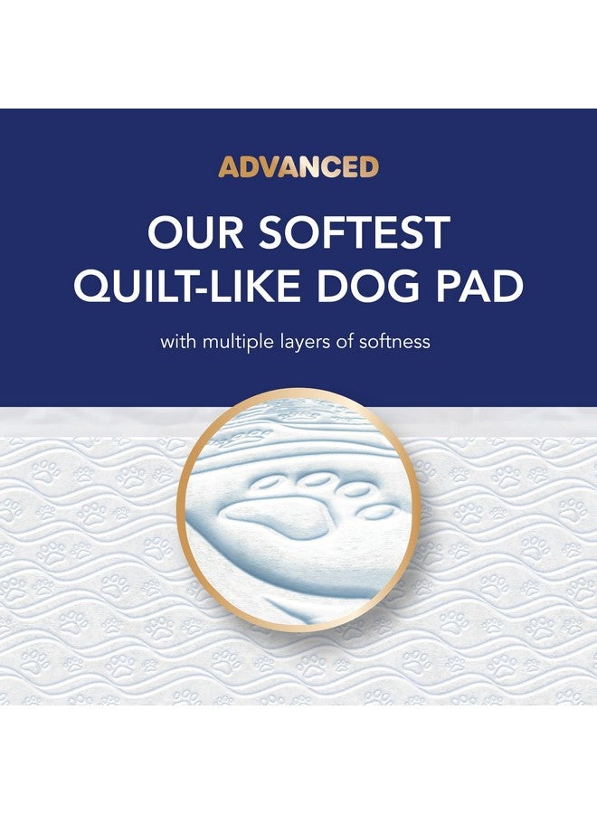 سكوت وسادات سكوت بيت جارد المتقدمة للكلاب - وسادات تدريب الكلاب على التبول للجراء والكلاب المتوسطة والكبيرة - امتصاص حتى 16 ساعة مع التحكم في الرائحة - وسادات تبول مبطنة ناعمة للكلاب - كبيرة - 22 بوصة × 22 بوصة - عبوة من 50 قطعة - Image 2