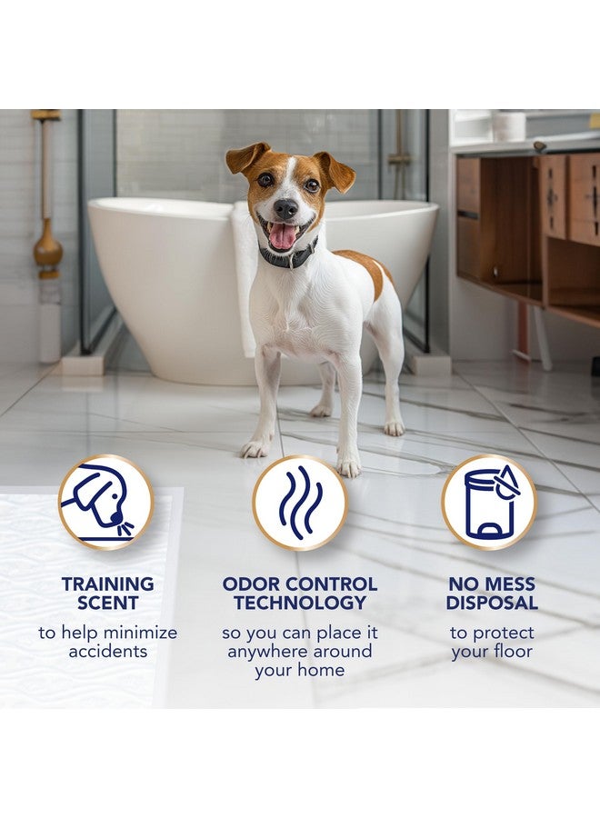 سكوت وسادات سكوت بيت جارد المتقدمة للكلاب - وسادات تدريب الكلاب على التبول للجراء والكلاب المتوسطة والكبيرة - امتصاص حتى 16 ساعة مع التحكم في الرائحة - وسادات تبول مبطنة ناعمة للكلاب - كبيرة - 22 بوصة × 22 بوصة - عبوة من 50 قطعة - Image 4