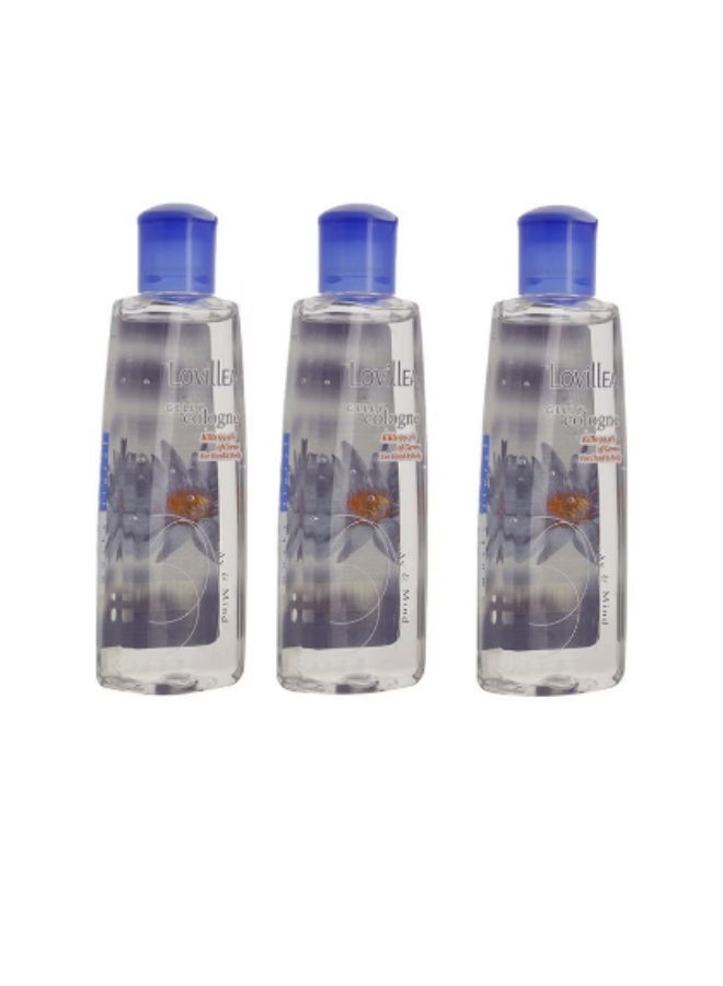 LOVillEA 3-Piece Musky Floral Gelly Cologne 3 x 200ml - Image 1