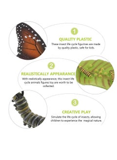 Excefore Insect Life Cycle Figures 2 Sets, Life Cycle Figurines of a Monarch Butterfly and a Frog Realistic Education Insects Life Stages Figures Insect Growth Cycle Model Toy Preschool Cognition Playset  - Image 4