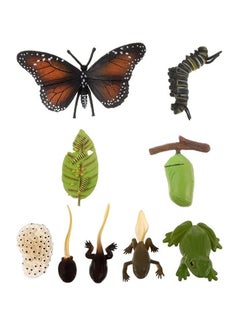 Excefore Insect Life Cycle Figures 2 Sets, Life Cycle Figurines of a Monarch Butterfly and a Frog Realistic Education Insects Life Stages Figures Insect Growth Cycle Model Toy Preschool Cognition Playset  - Image 1