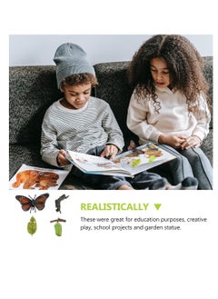 Excefore Insect Life Cycle Figures 2 Sets, Life Cycle Figurines of a Monarch Butterfly and a Frog Realistic Education Insects Life Stages Figures Insect Growth Cycle Model Toy Preschool Cognition Playset  - Image 3