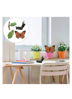 Excefore Insect Life Cycle Figures 2 Sets, Life Cycle Figurines of a Monarch Butterfly and a Frog Realistic Education Insects Life Stages Figures Insect Growth Cycle Model Toy Preschool Cognition Playset  - Image 5