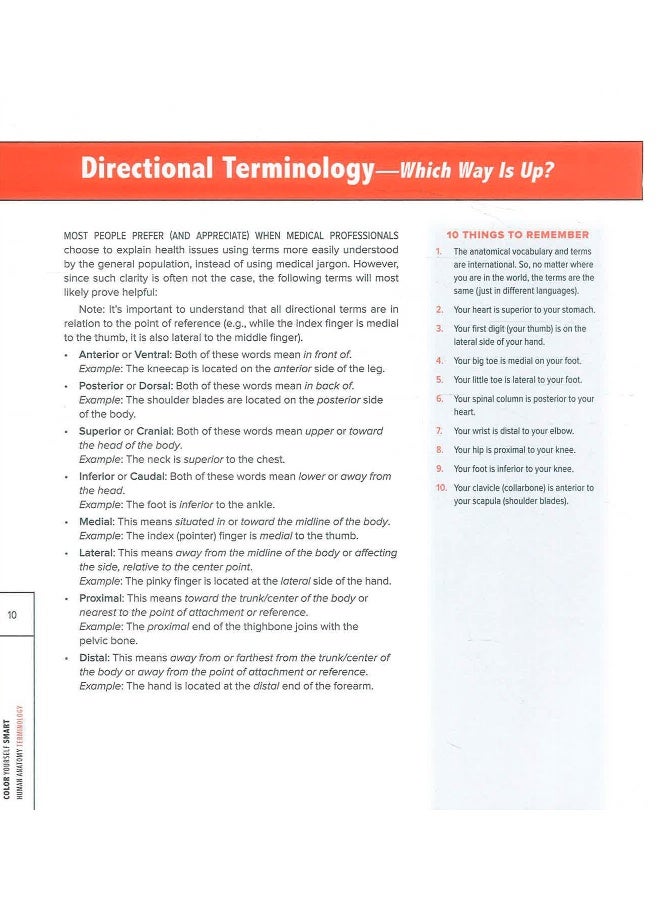 ألوان نفسك بذكاء: علم التشريح البشري - Image 4