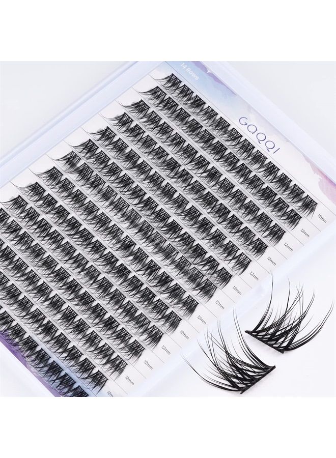 GAQQI Lash Clusters, C Curl 168 Clusters False Eyelash, Individual Lashes Soft and Lightweight Only 12MM Length, Reusable Cluster Lashes(GQ03,12mm, C Curl) - Image 1