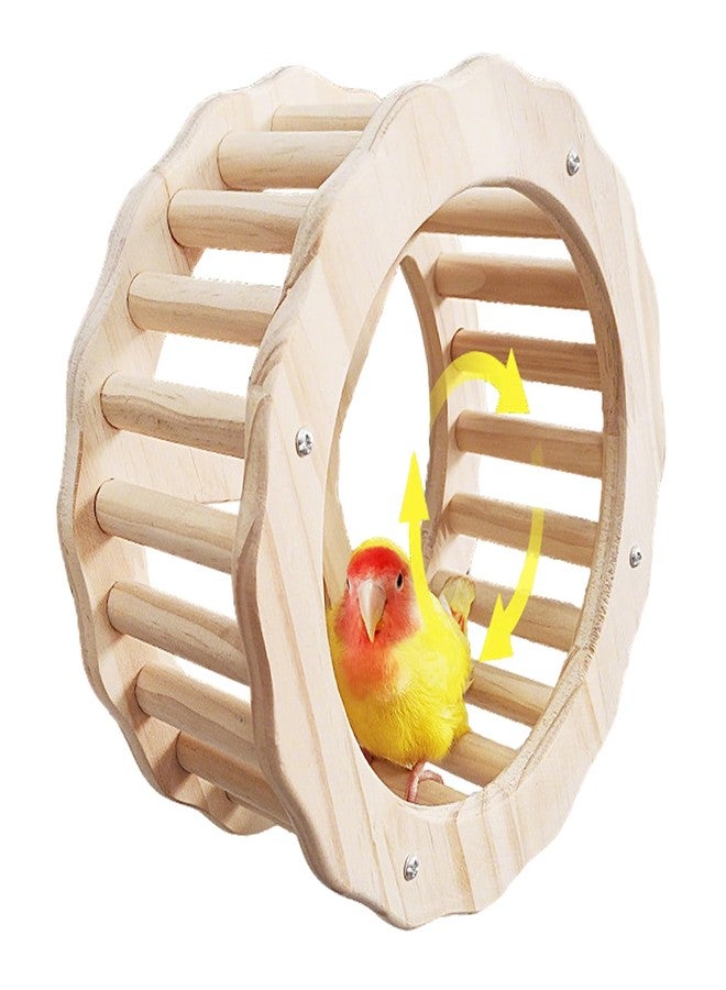 DINTSTYLE Bird Stand Perch Toy,Interactive Rocking Parakeet Toy and Perch, Wooden Exercise Wheel Cockatiel Toy, Intelligence Puzzle Enrichment Toys,Bird Playground Play Stands for Conure Budgie(D) - Image 1