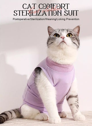 2Pcs Cat Surgery Recovery Suit Cat Onesie for Cats After Surgery Spay Surgical Abdominal Wound Skin Diseases E-Collar Alternative Wear - view 2