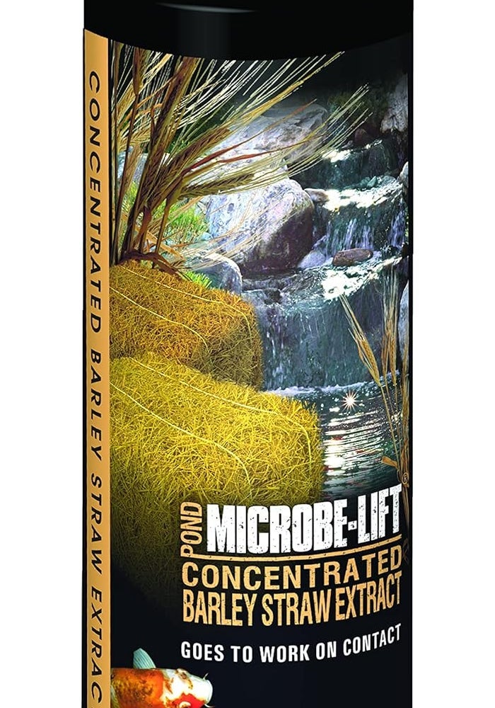 Microbe Lift MICROBE-LIFT 32-Ounce Concentrated Barley Straw Extract for Pond Care - Image 1