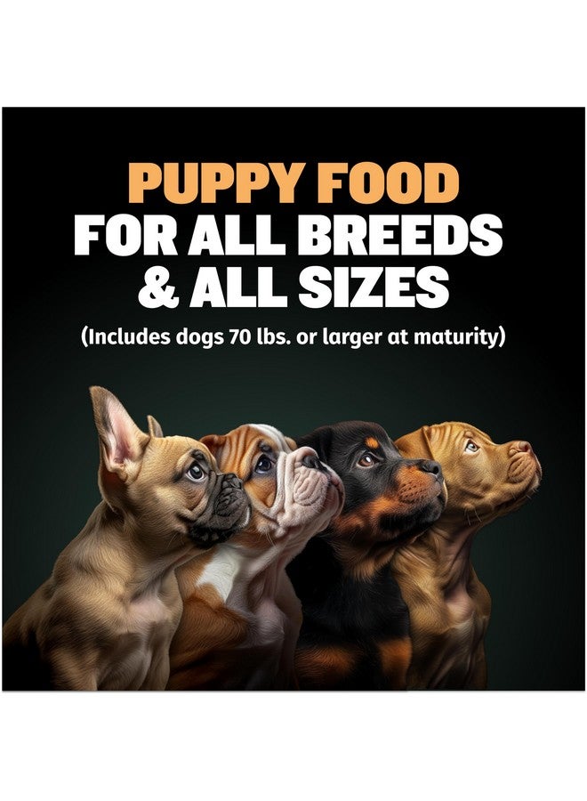 BULLY MAX Wet Puppy Food  Instant Fresh Dehydrated High Protein Dog Food With Chicken  Healthy Growth For Small & Large Breed Puppies  2 Dry Dog Food Pounds (Makes 5.5 Lbs. Of Wet Dog Food) - Image 3