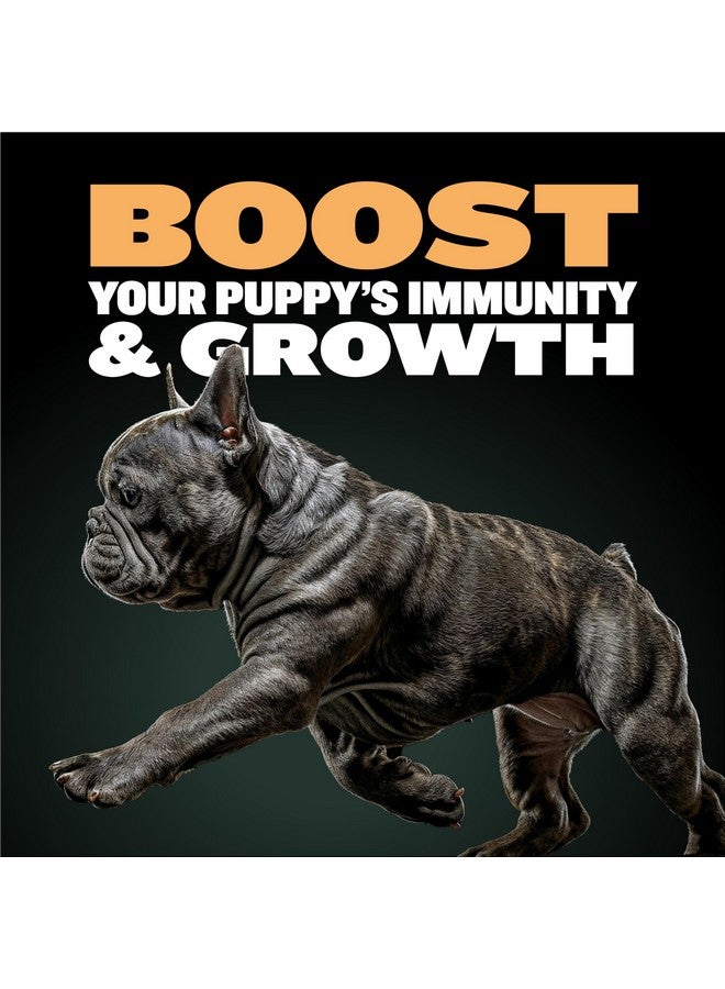 BULLY MAX Wet Puppy Food  Instant Fresh Dehydrated High Protein Dog Food With Chicken  Healthy Growth For Small & Large Breed Puppies  2 Dry Dog Food Pounds (Makes 5.5 Lbs. Of Wet Dog Food) - Image 2